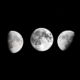 La Luna y los Aceites Esenciales El dúo más mágico de tu rutina de Bienestar - Blog Esencia de Luna